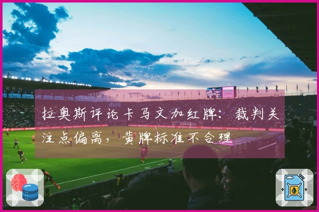拉奥斯评论卡马文加红牌：裁判关注点偏离，黄牌标准不合理