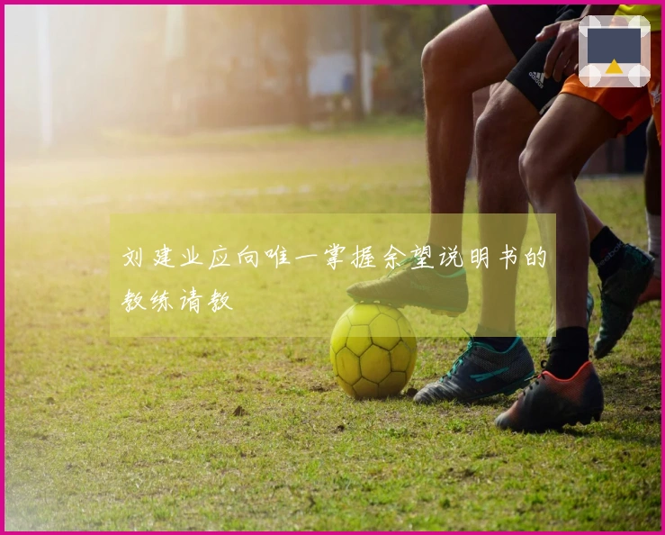 刘建业应向唯一掌握余望说明书的教练请教